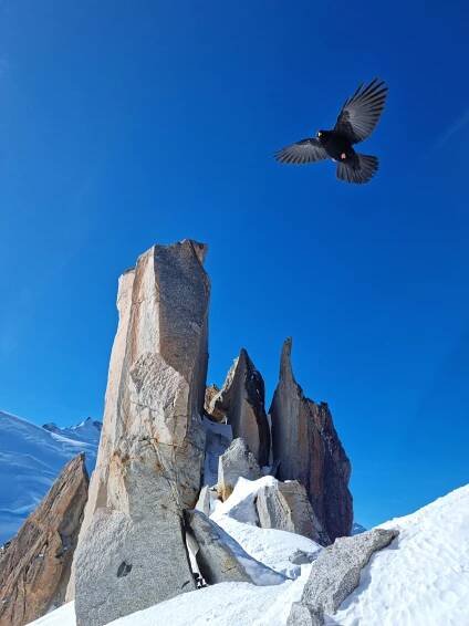 Xavier Paillard Photography - Aiguille du Midi - Arête des Cosmiques