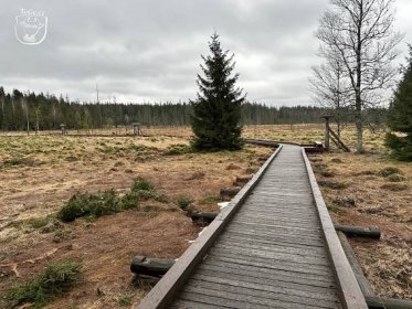 Rašeliniště pod Zieleńcem – Turisticky gurman