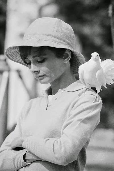 Audrey Hepburn: Stunning photos of one of Hollywood’s timeless beauties