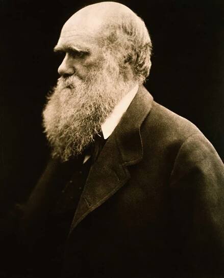 Portrait of Charles Darwin by Julia Margaret Cameron
