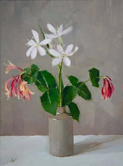Hesperantha & Honeysuckle