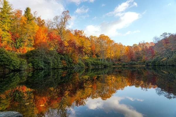 Essential List of North Carolina Fall Activities