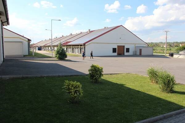 Poultry days – společnost ADDICOO se otevírá světu | Náš chov - vše o chovu hospodářských zvířat