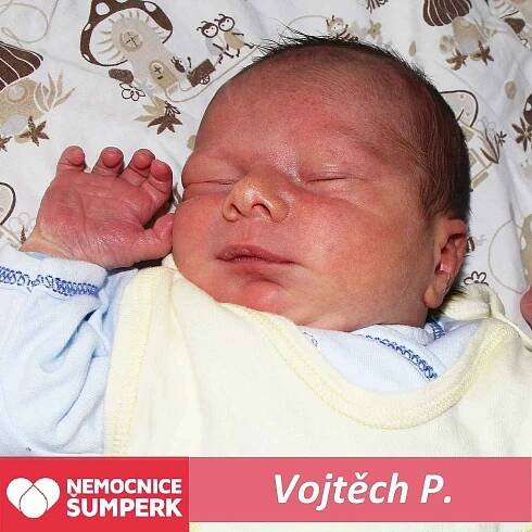 Vojtěch P., Postřelmov