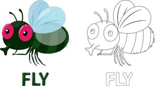Vektorové ilustrace roztomilé Fly kreslené omalovánky, ručně kreslené jednoduché čáry — Ilustrace
