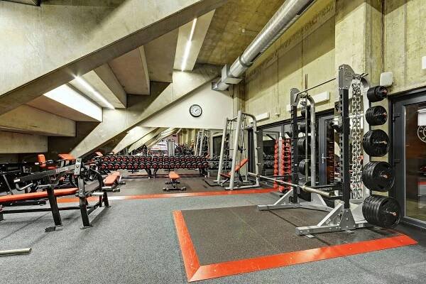 Hammer Strength Fitness SPARTA foto 3