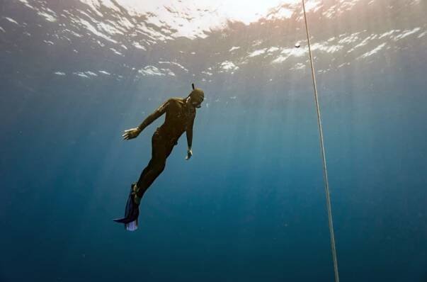 learn to freedive