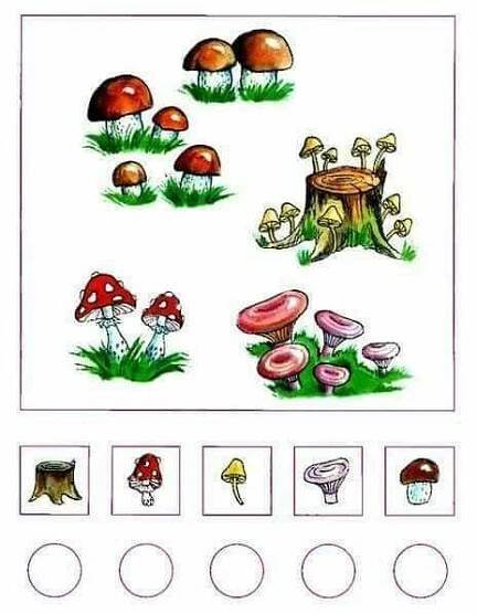 Pin by Lucia Hromadkova on matematika | Math for kids, Storytime crafts, Preschool math