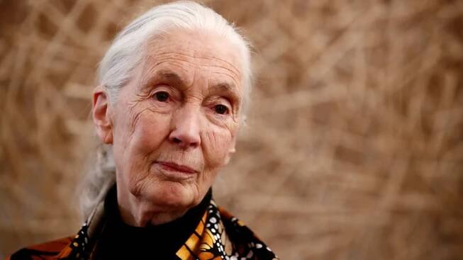 „Mým posláním je dát lidem naději,“ říká primatoložka Jane Goodallová