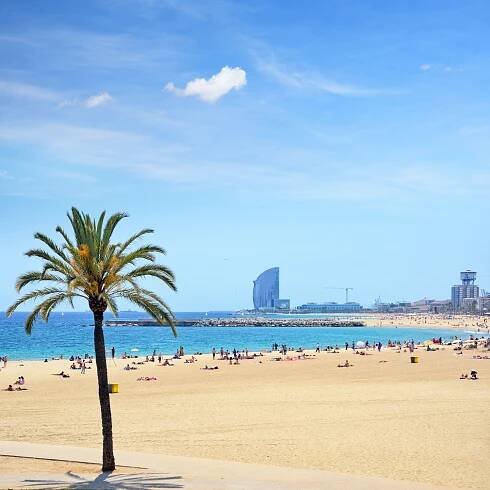 The Beach