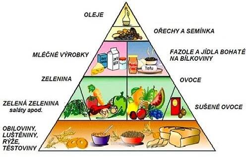 NEJLEPŠÍ DIETNÍ PLÁNY NA HUBNUTÍ | Sportovní výživa, zdravá výživa, vybavení pro fitness a posilování | FITNESS4U