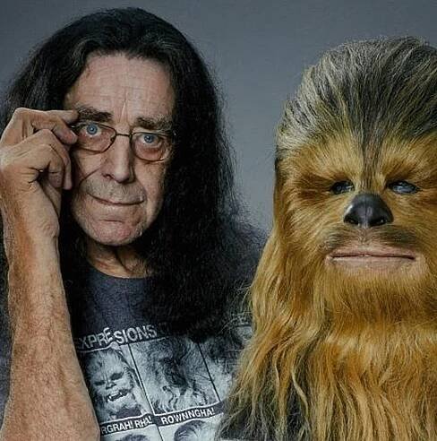 Peter Mayhew, the actor who brought Chewbacca to life, has died