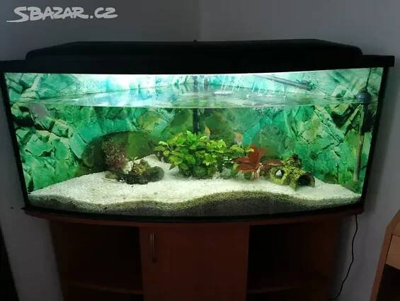 Rohové akvárium 250l