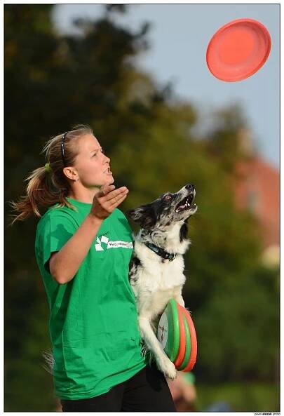 Ulli - Fotoalba - Mistrovství ČR v dogfrisbee 2013 - Nymburk
