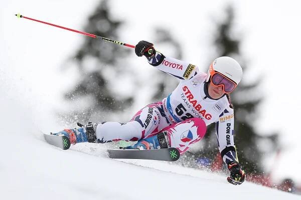 Alpské lyžování