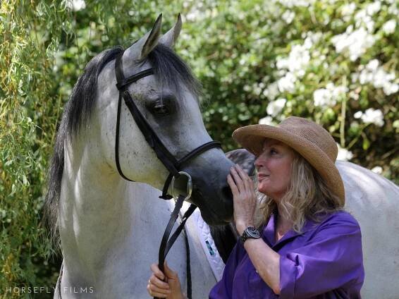 O! Arabian — HF Films Rare Equine Trust