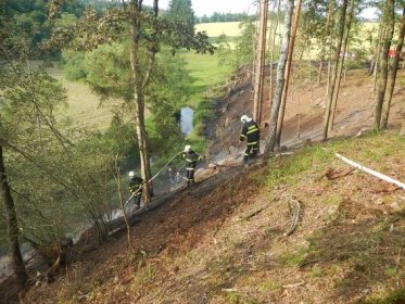 Požár lesa u Kamenného Malíkova likvidovali hasiči tři hodiny | POŽÁRY.cz - ohnisko žhavých zpráv | hasiči aktuálně