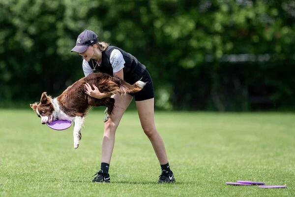 Létající talíře a psí akrobati. To byl 2. ročník dogfrisbee freestylového závodu v Moravskoslezském kraji, 10. červen 2023, Lučina.