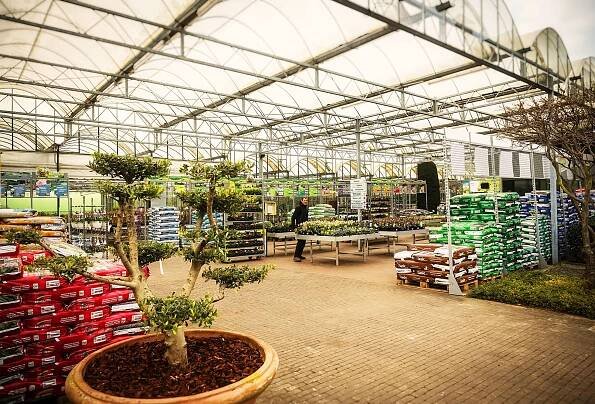 Plantencentrum & Tuinplanten - L.MAMPAY & ZONEN