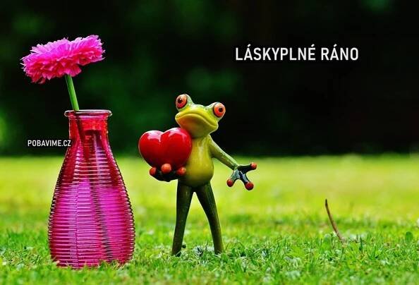 Přání Láskyplné ráno. Nej přáníčka láskyplného rána (zdarma)