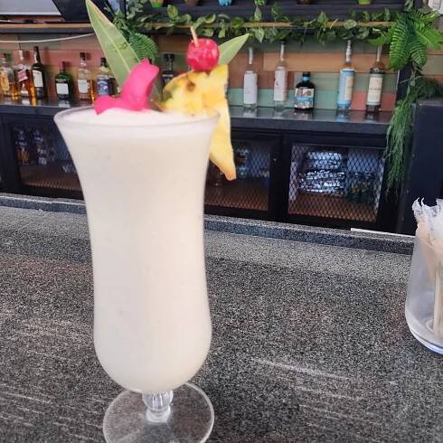 MAYAN MONKEY LOS CABOS - Updated 2025 Prices & Hostel Reviews (Cabo San Lucas)
