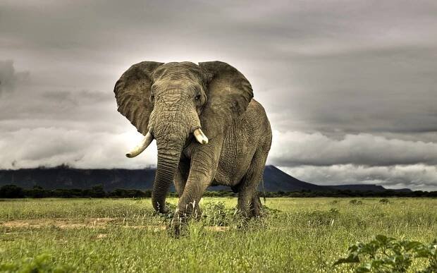  Afrika - 2