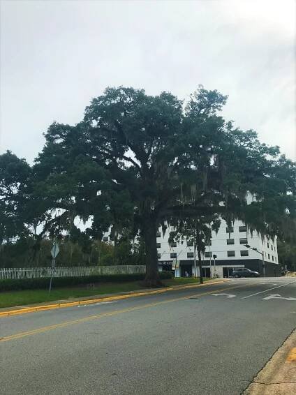 4Forty Development - Alliance of Tallahassee Neighborhoods