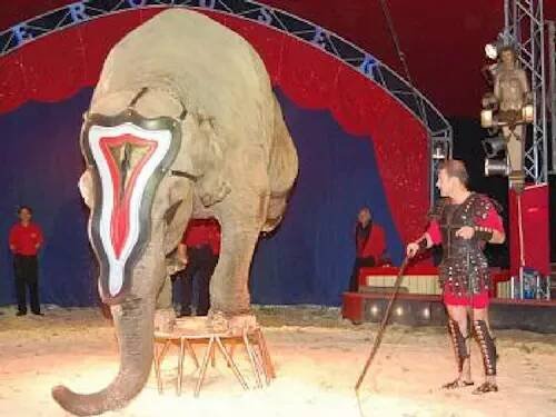 Nepropásněte poslední letošní představení Cirkus Cirkus Classic v Praze! – Kudy z nudy 