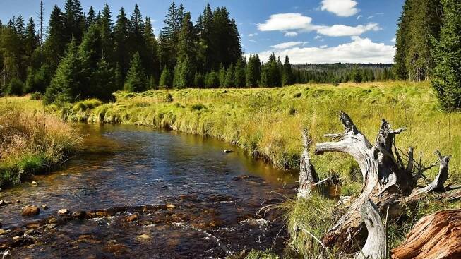 Národní park Šumava – Super obsáhlý průvodce přírodou i městy