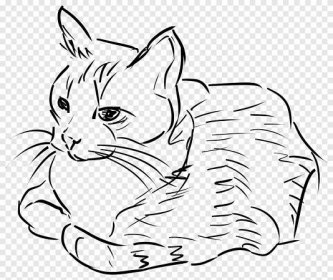 Cat Drawing Line art, Cat, watercolor Painting, white png | PNGEgg