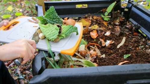 Rostlinný odpad z kuchyně (Zdroj: Shutterstock)