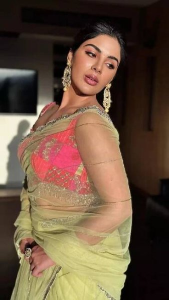 Samyuktha’s Ethereal Saree Elegance You Can’t Miss