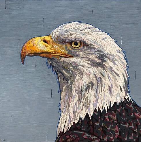 BALD EAGLE
