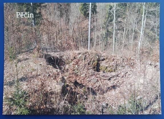 Pěčín, Rychnov nad Kněžnou  - Sběratelství