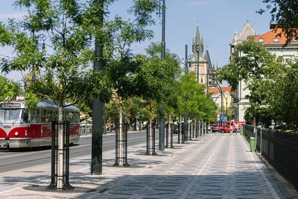 Klimatické stromy pro Prahu: Projekt, který nemá v evropských městech obdoby - Ekolist.cz