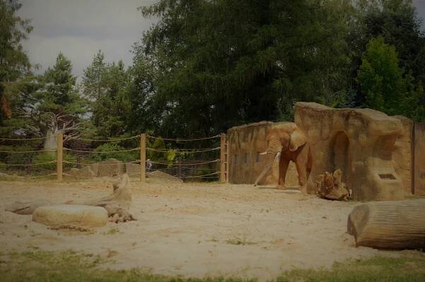Skupinová rekreace Kemp Wolf a Safari Park Dvůr Králové