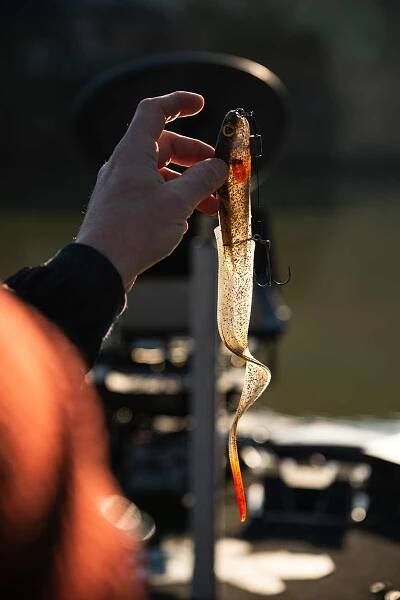 FOX RAGE - Gumová nástraha Slick Eel Burbot vel. 1/0 28 cm | FishMax.cz 