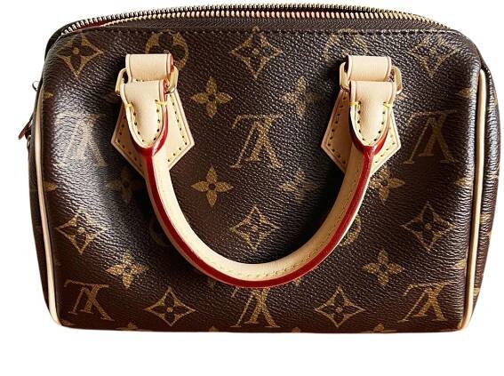 LOUIS VUITTON Speedy 20 Monogram