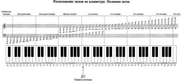 Noty basového klíče pro klavír: Jak je číst na hole? Noty všech oktáv pro klavír v pořádku. Jak se je rychle naučit a hrát