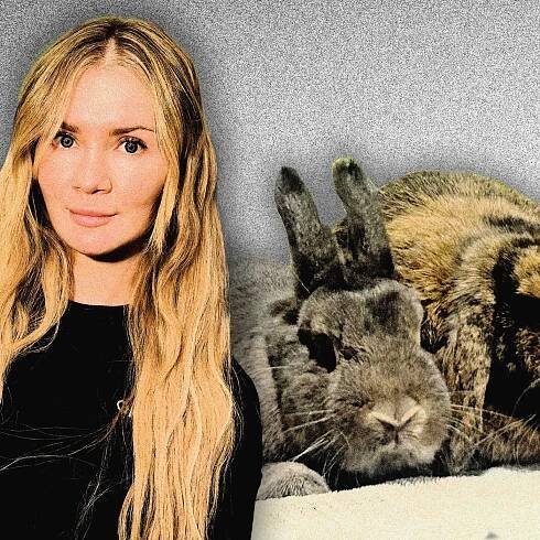 Anna Delvey and the Case of the 3 Missing Rabbits