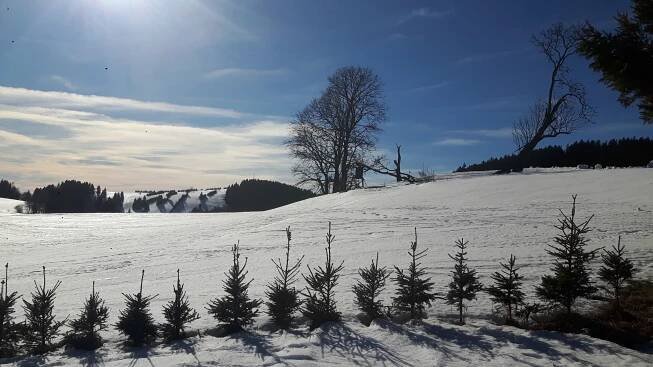 JONAS PARK Ostružná foto 5