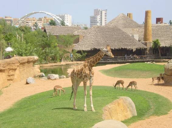 Valencia Bioparc