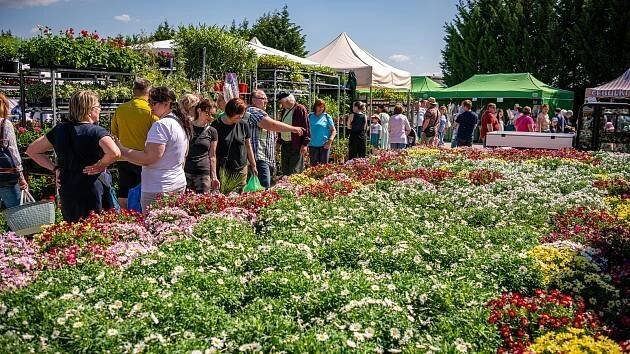 Ráj zahrádkářů otevřel své brány. Začala jarní Floria Kroměříž