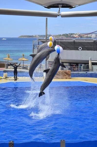 30.5. - 6.6.2013 Sportovní dovolená na Mallorce - MonikaSobotkova.cz