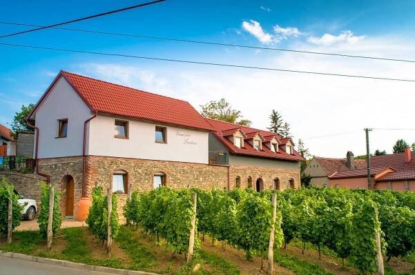 Vinařství a penzion Lintner foto 1