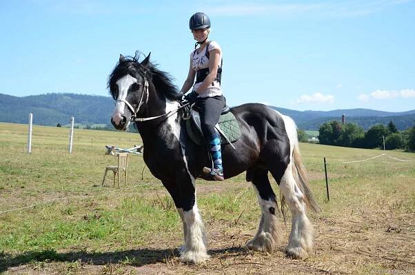 Jezdecký tábor na farmě Turov