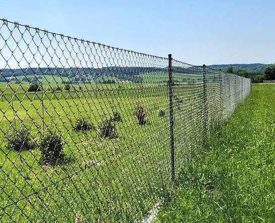 Poplastované pletivo 150 cm zelené 2,7 mm | E-pletivo.cz – ploty Vamberk