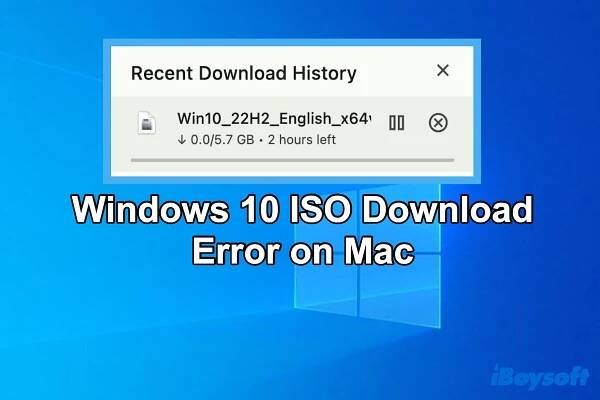[Solved] Windows 10 ISO Download Error on Mac (Big Sur)