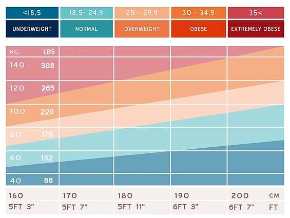 BMI chart BMI Index