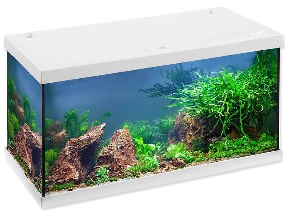 Akvárium set EHEIM Aquastar LED bílé 54l